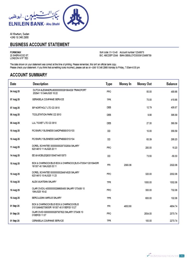 Download Sudanese Al Neelen company checking account statement Word and PDF template Photoshop template